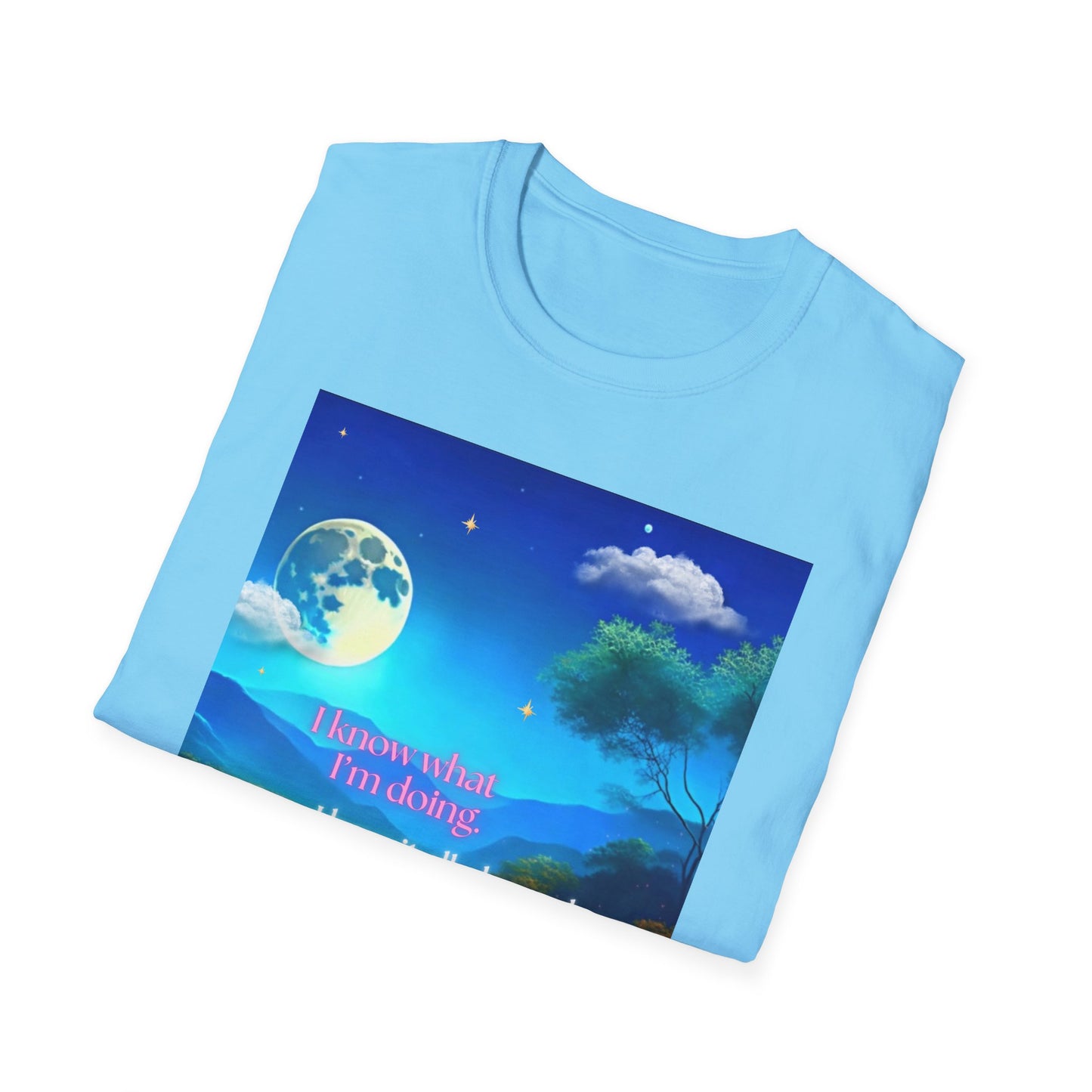 Jeremiah 29:11 Bible Verse T-Shirt for women – Soft Cotton Scripture t-shirt