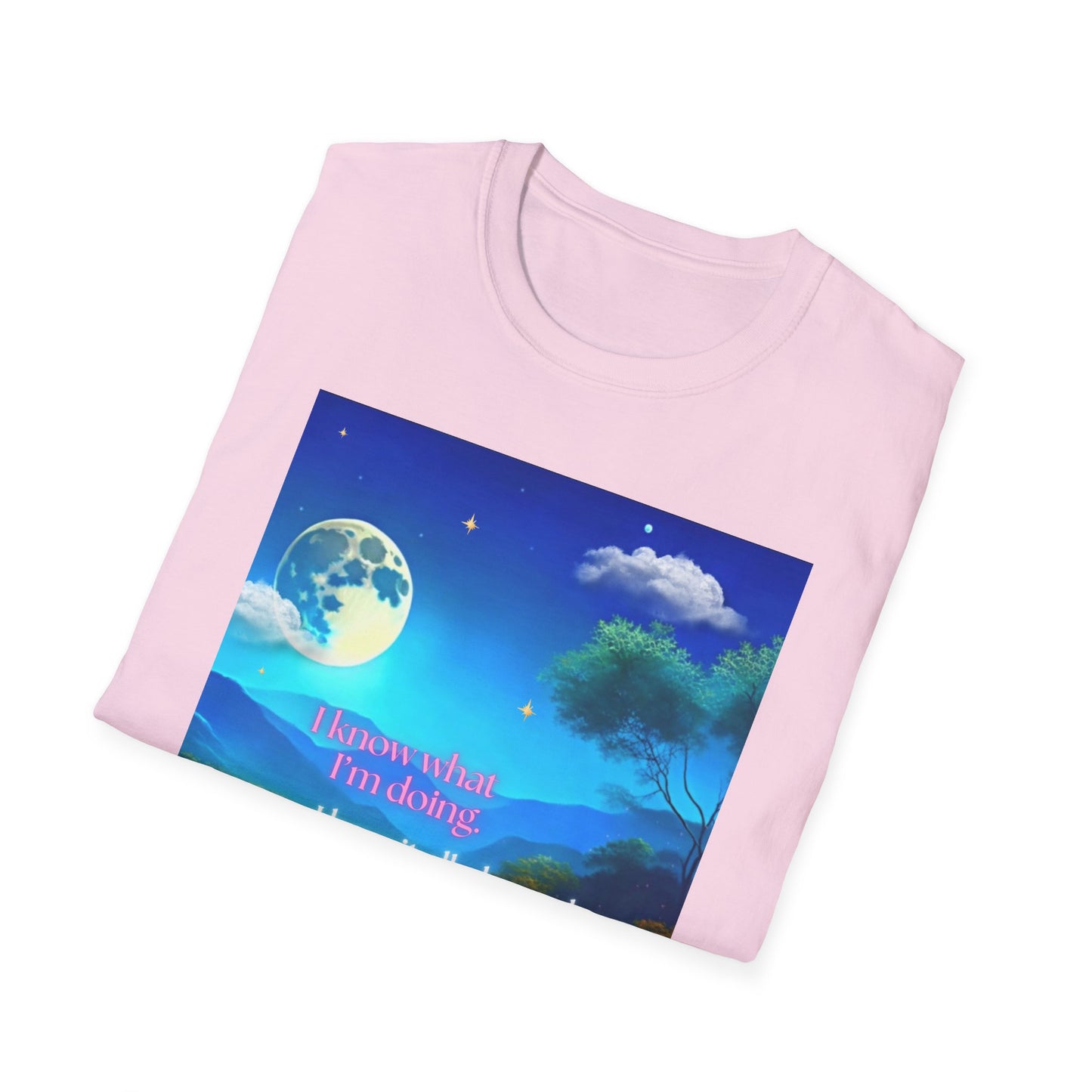 Jeremiah 29:11 Bible Verse T-Shirt for women – Soft Cotton Scripture t-shirt