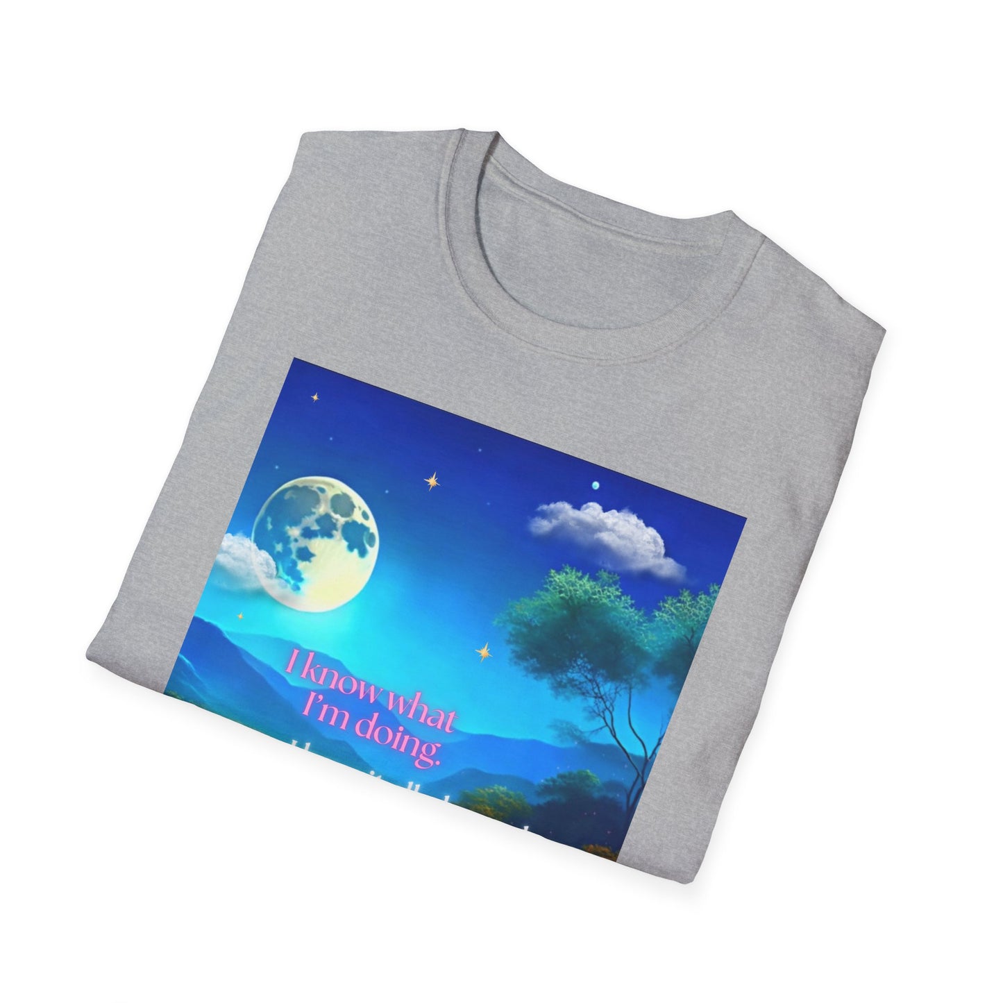 Jeremiah 29:11 Bible Verse T-Shirt for women – Soft Cotton Scripture t-shirt